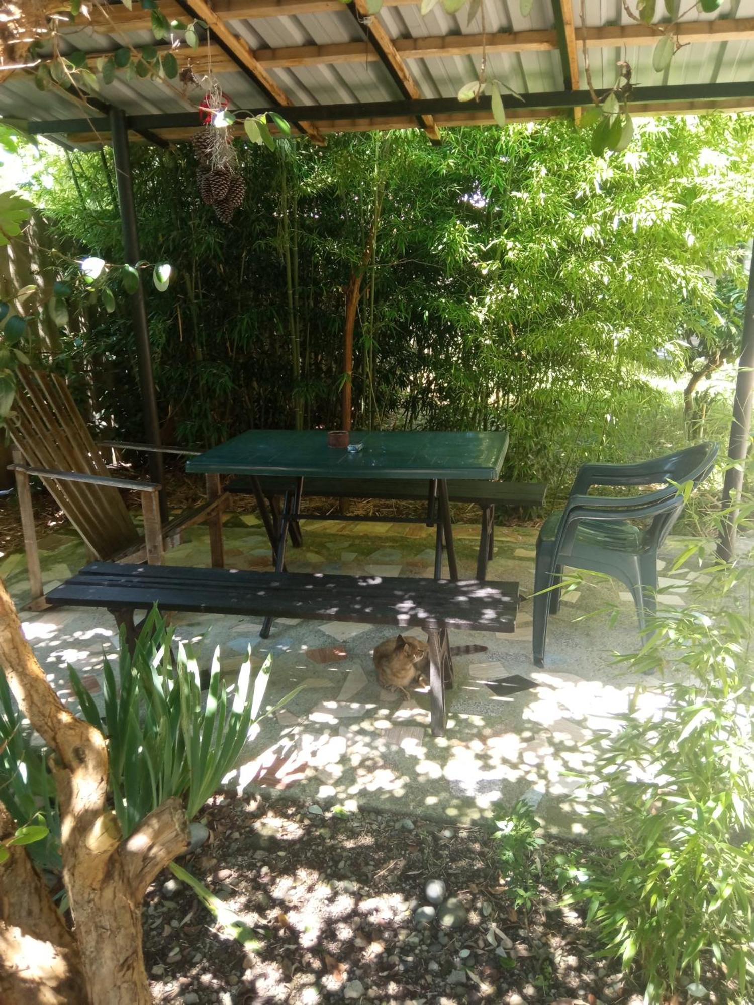 Hotel Zaza Kobuleti Esterno foto